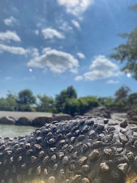 鈴鹿サーキットに投稿された画像（2024/8/10）