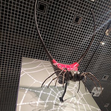 特別展「昆虫 MANIAC」（国立科学博物館）に投稿された画像（2024/8/10）