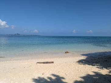 沖縄美ら海水族館に投稿された画像（2024/8/10）