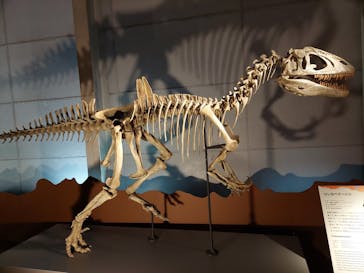 巨大恐竜展2024に投稿された画像（2024/8/10）