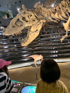 福井県立恐竜博物館に投稿された画像（2024/8/10）