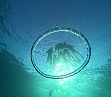 青の洞窟専門店　沖縄ダイビングショップ和に投稿された画像（2024/8/10）