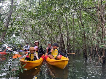 西表島 ADVENTURE PiPi（アドベンチャーピピ）に投稿された画像（2024/8/10）