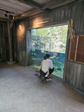 世界淡水魚園水族館　アクア・トトぎふに投稿された画像（2024/8/10）