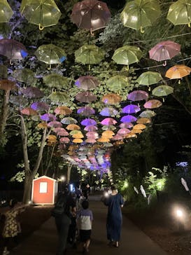 ムーミンバレーパークに投稿された画像（2024/8/10）