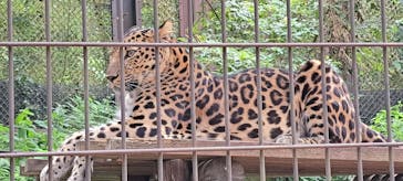 よこはま動物園ズーラシアに投稿された画像（2024/8/10）