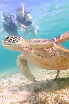 宮古島マリン GB QUESTに投稿された画像（2024/8/10）