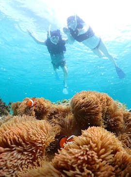 宮古島マリン GB QUESTに投稿された画像（2024/8/10）