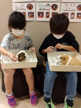 カワスイ 川崎⽔族館に投稿された画像（2024/8/10）