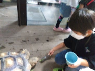 カワスイ 川崎⽔族館に投稿された画像（2024/8/10）