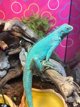 NARA IKIMONO MUSEUMに投稿された画像（2024/8/10）