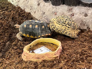 NARA IKIMONO MUSEUMに投稿された画像（2024/8/10）