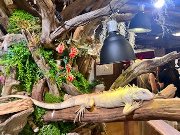 NARA IKIMONO MUSEUMに投稿された画像（2024/8/10）