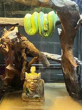 NARA IKIMONO MUSEUMに投稿された画像（2024/8/10）