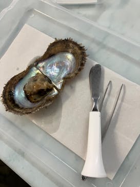 越前松島水族館に投稿された画像（2024/8/10）