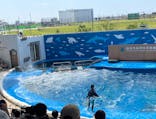 仙台うみの杜水族館に投稿された画像（2024/8/11）