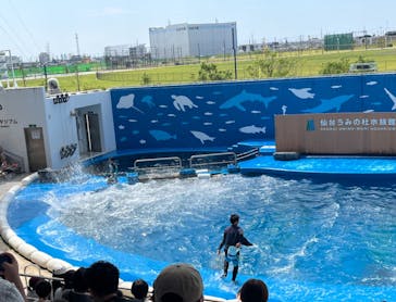 仙台うみの杜水族館に投稿された画像（2024/8/11）