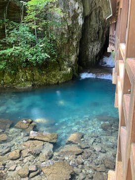 秋芳洞に投稿された画像（2024/8/11）