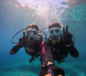 沖縄マリンサービス碧に投稿された画像（2024/8/11）