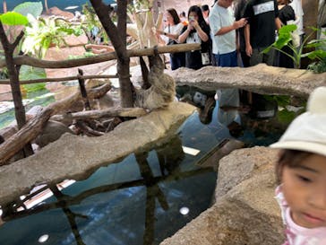 那須どうぶつ王国に投稿された画像（2024/8/11）