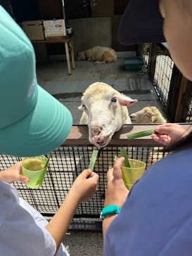沖縄こどもの国に投稿された画像（2024/8/11）