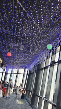 東京タワーに投稿された画像（2024/8/11）