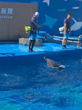 仙台うみの杜水族館に投稿された画像（2024/8/11）