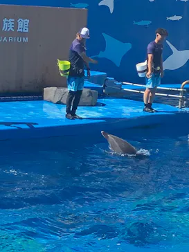 仙台うみの杜水族館に投稿された画像（2024/8/11）