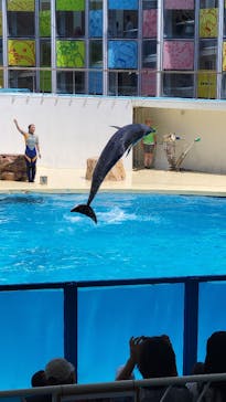 伊豆・三津シーパラダイスに投稿された画像（2024/8/11）