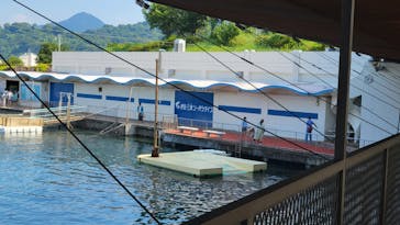 伊豆・三津シーパラダイスに投稿された画像（2024/8/11）