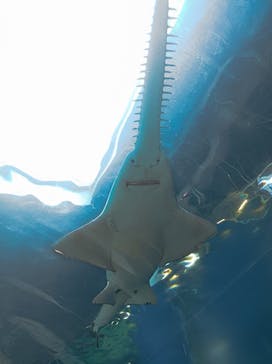 マクセル アクアパーク品川に投稿された画像（2024/8/11）