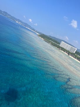 Sea World（シーワールド）に投稿された画像（2024/8/11）