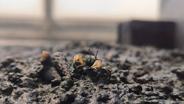 葛西臨海水族園に投稿された画像（2024/8/11）