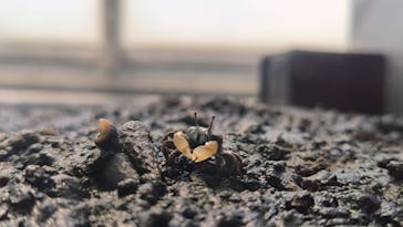葛西臨海水族園に投稿された画像（2024/8/11）
