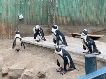 ゼロ距離水族館 伊勢シーパラダイスに投稿された画像（2024/8/11）