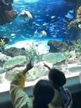 サンシャイン水族館に投稿された画像（2024/8/11）