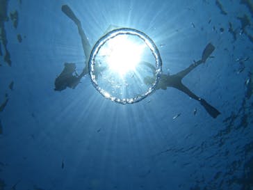 沖縄マリンサービス碧に投稿された画像（2024/8/11）