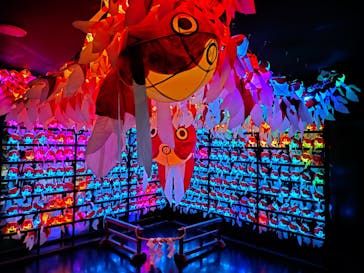 NARA KINGYO MUSEUMに投稿された画像（2024/8/11）