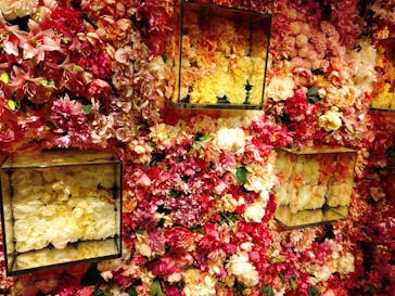 NARA KINGYO MUSEUMに投稿された画像（2024/8/11）