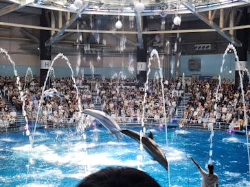 マクセル アクアパーク品川に投稿された画像（2024/8/11）