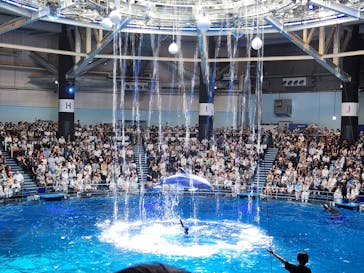 マクセル アクアパーク品川に投稿された画像（2024/8/11）