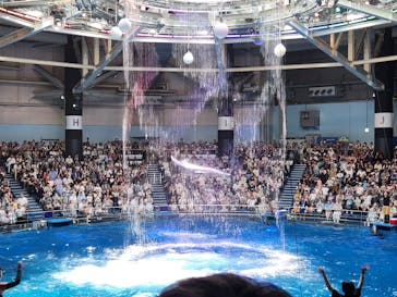 マクセル アクアパーク品川に投稿された画像（2024/8/11）