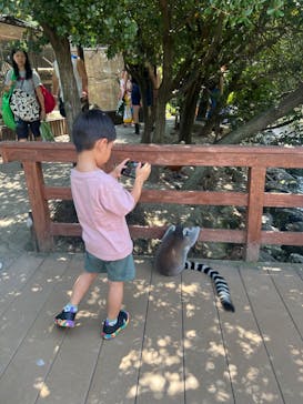 神戸どうぶつ王国に投稿された画像（2024/8/11）