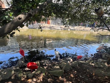 神戸どうぶつ王国に投稿された画像（2024/8/11）