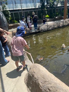 神戸どうぶつ王国に投稿された画像（2024/8/11）