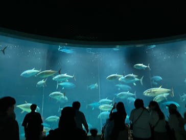 葛西臨海水族園に投稿された画像（2024/8/11）