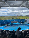 仙台うみの杜水族館に投稿された画像（2024/8/11）