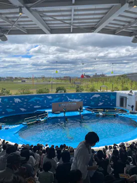 仙台うみの杜水族館に投稿された画像（2024/8/11）