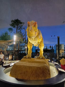 福井県立恐竜博物館に投稿された画像（2024/8/11）