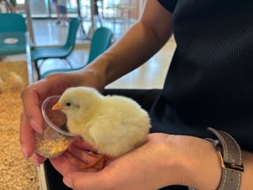 Moff animal world BIGHOPガーデンモール印西店に投稿された画像（2024/8/11）